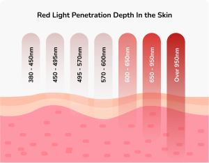 Graphic showing the difference in depth penetration of at-home red light therapy vs professional aerolase therapy at Lucid Dermatology.